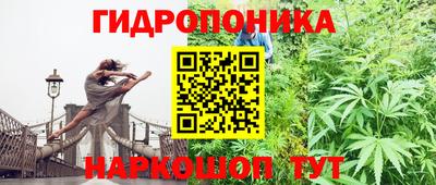шишки Балахна