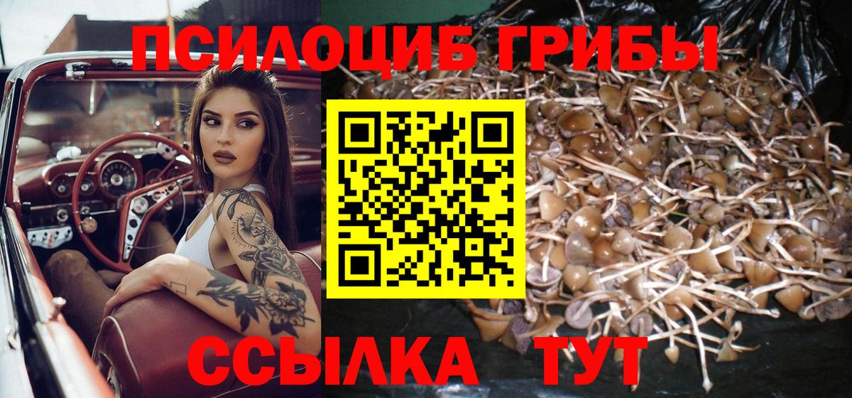 Галлюциногенные грибы MAGIC MUSHROOMS Ивантеевка