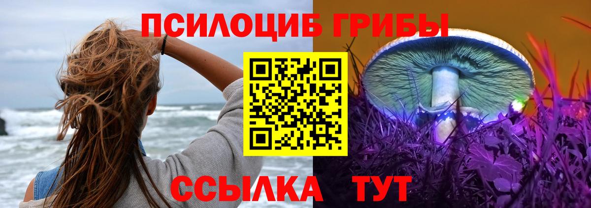 Галлюциногенные грибы мухоморы  купить наркотик  Галлюциногенные грибы Cubensis  Ивантеевка  Вход с VPN 